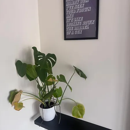 아파트 Thirlwell Gardens, Ground Floor Flat, Free Parking *